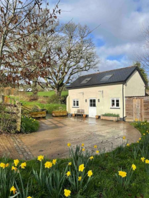 Characterful, Cosy Dartmoor Cottage